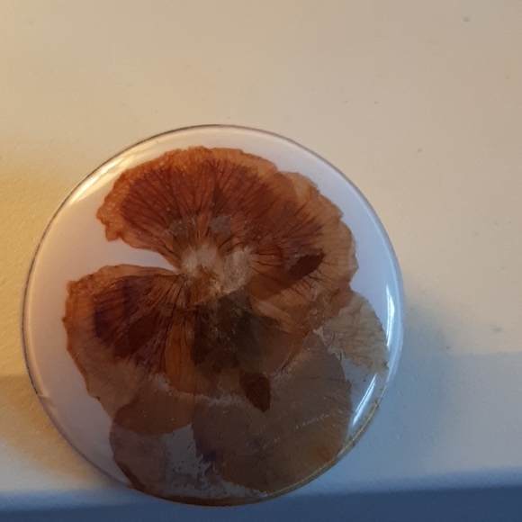 Vintage 1970's Pressed Pansy Brooch - Picture 2 of 5